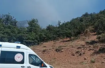 Konya'da orman yangını: Ekipler seferber oldu