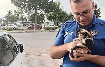 Konya'da polisten yavru kediye şefkat: Kurtarıp sahiplendiler