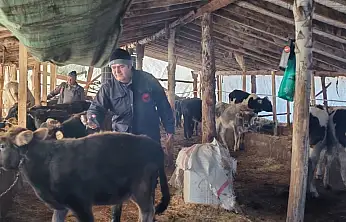 Konya'da şap ve brusella aşılamaları devam ediyor: Üreticilere kritik çağrı