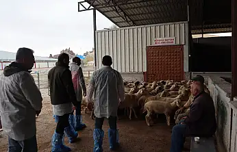 Konya'da sofralara ulaşan et mercek altında!