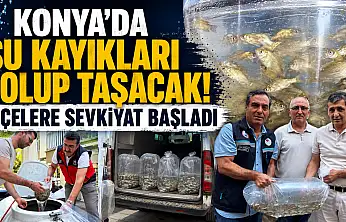 Konya'da su kayakları dolup taşacak! İlçelere sevkiyat başladı