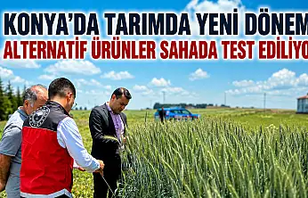 Konya'da tarımda yeni dönem! Alternatif ürünler sahada test ediliyor