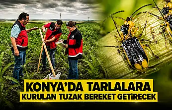 Konya'da tarlalara kurulan tuzak bereket getirecek