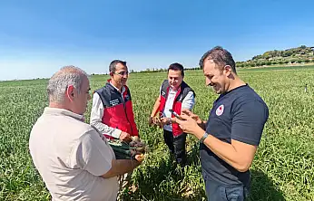 Konya'da tarlalarda dikkat çeken hareketlilik! Ekipler sahaya indi
