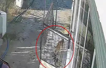 Konya'da terlik hırsızının kim olduğu ortaya çıktı! Görenler gözlerine inanamadı