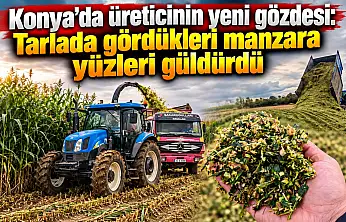 Konya'da üreticinin yeni gözdesi: Tarlada gördükleri manzara yüzleri güldürdü