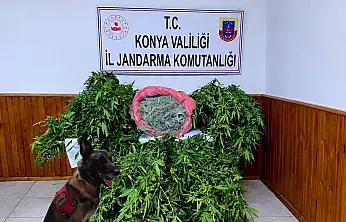 Konya'da uyuşturucu darbesi: Depoda esrar ve kenevir ele geçirildi