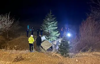 Konya'da yaban hayvanına çarpan otomobil şarampole yuvarlandı: Sürücüden acı haber!