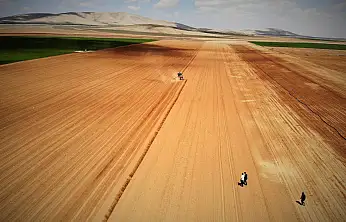 Konya'da yağışlar yüzde 44 azaldı! Çiftçi alarmda