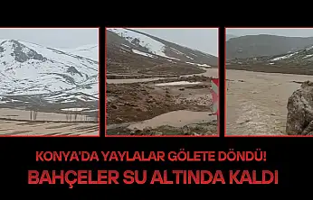 Konya'da yaylalar gölete döndü! Bahçeler su altında kaldı