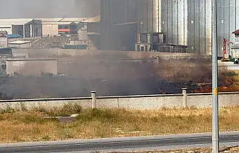 Konya'da yol kenarında yangın