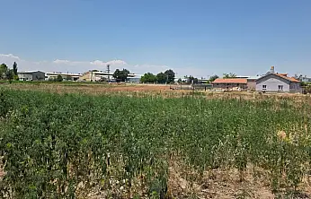 Konya'da zehir tacirlerine darbe: Çok sayıda kişi tutuklandı!