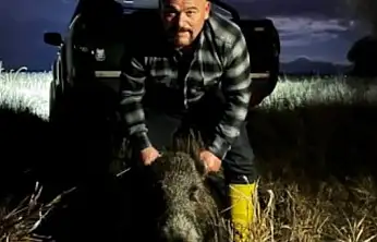 Konya'daki balıkçı Türkiye gündeminde: 80 kiloluk domuzu çıplak elle yakaladı