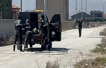 Konya'daki köpek saldırısı faciasında 2 belediye çalışanına soruşturma!