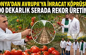Konya'dan Avrupa'ya ihracat köprüsü: 100 dekarlık serada rekor üretim