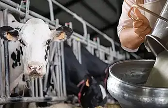 Konya'dan kritik uyarı! Ahırdaki yangın büyüyor, üretim alarm veriyor
