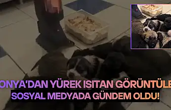 Konya'dan yürek ısıtan görüntüler: Sosyal medyada gündem oldu!