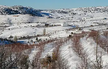 Konya Hadim'de kar toprağı besledi, üretici umutlu