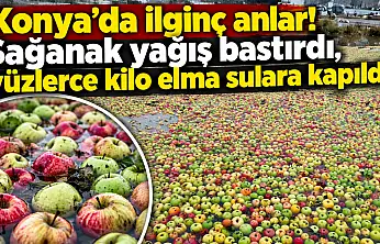 Konya'da ilginç anlar! Sağanak yağış bastırdı, yüzlerce kilo elma sulara kapıldı