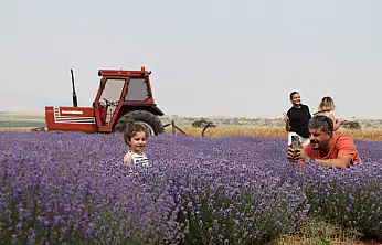 Konya mor rengine büründü: Gören hayran kalıyor!
