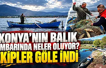 Konya'nın balık ambarında neler oluyor? Ekipler göle indi