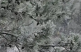 Konya'nın bu ilçesi karla uyandı: Belediye başkanı bereket vurgusu yaptı