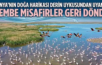Konya'nın doğa harikası derin uykusundan uyandı! Pembe misafirler geri döndü