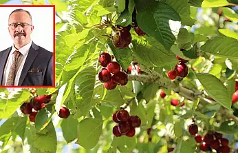 Konya'nın dünyaya açılan lezzeti üreticiyi kara kara düşündürüyor
