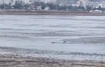 Konya'nın gözbebeği için sevindiren haber: Soylu müjdeyi verdi!