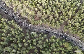 Konya'nın kış turizmi yükseliyor: Yoğun katılımlı kar yürüyüşü büyüledi