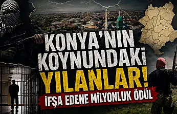 Konya'nın koynundaki yılanlar! İfşa edene milyonluk ödül