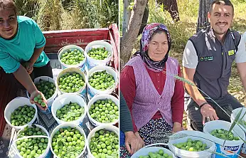 Konya'nın kütür kütür lezzeti mercek altında
