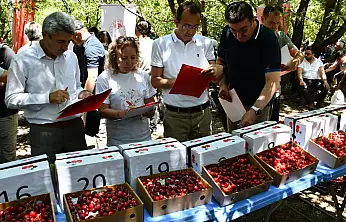 Konya'nın madeni için kollar sıvandı!