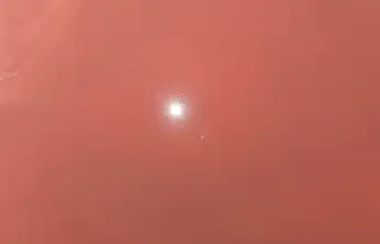 Konya'nın masalsı diyarı pembeye büründü! Şifa arayan akın ediyor