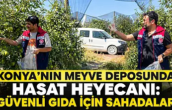 Konya'nın meyve deposunda hasat heyecanı: Güvenli gıda için sahadalar
