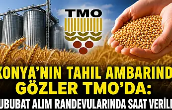 Konya'nın tahıl ambarında gözler TMO'da: Hububat alım randevularında saat verildi!