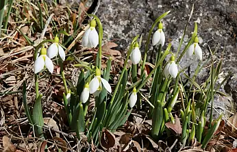 Konya'nın yüksek kesimlerinde şaşırtan manzara!