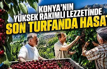 Konya'nın yüksek rakımlı lezzetinde son turfanda hasat