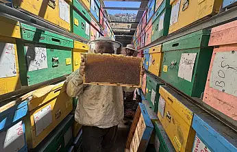 Konya'nın yükseklerinde sıra dışı üretim! 5,5 ton hasat bekleniyor
