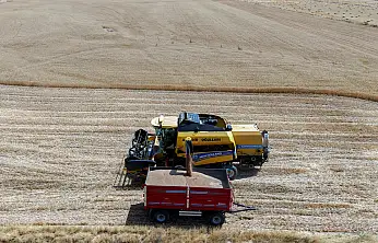 Konya Ovası'nda Cumhuriyet tarihinin rekoru geliyor: Rekoltede dev artış!
