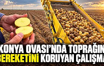 Konya Ovası'nda toprağın bereketini koruyan çalışma