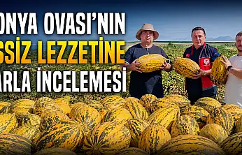 Konya Ovası'nın eşsiz lezzetine tarla incelemesi