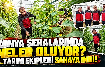 Konya seralarında neler oluyor? Tarım ekipleri sahaya indi!