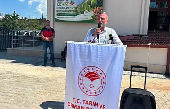 Konya tarımında yeni dönem: Üreticinin parası cebinde kalacak
