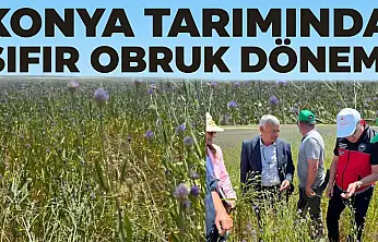 Konya tarımında sıfır obruk dönemi
