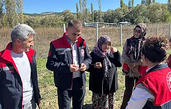 Konya tarımında ürün çeşitliliği artıyor