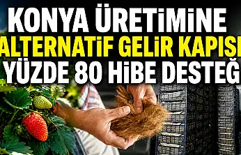 Konya üretimine alternatif gelir kapısı: Yüzde 80 hibe desteği