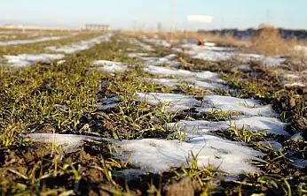 Konya'ya kar yağmazsa büyük kayıp kapıda
