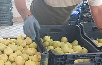 Konyalılar bu lezzette hasret kalacak!