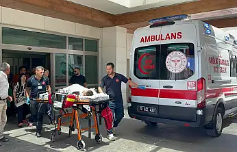 Köpek saldırısında ağır yaralanan 3 yaşındaki çocuk Konya'da tedavi altında!
